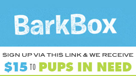 BarkBox: a portion of your purchase goes to Helotes Humane Society