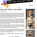 Fall 2015 Tail Waggin' Times Newsletter