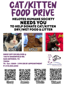 Cat and Kitten Food Drive Flyer