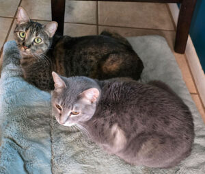 Pepper and Zara