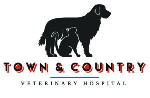 Town & Country Veterinary Hospital