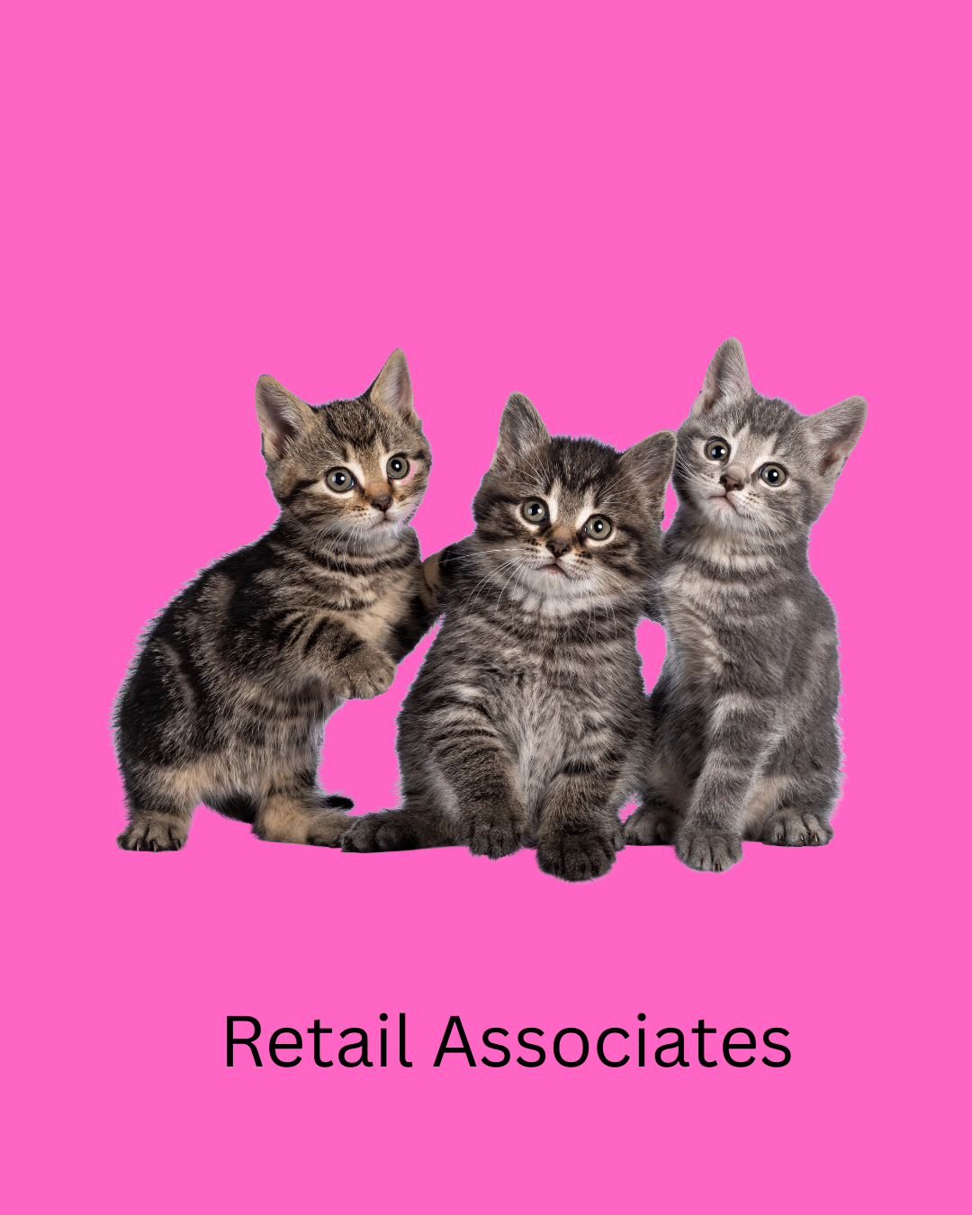 Retail